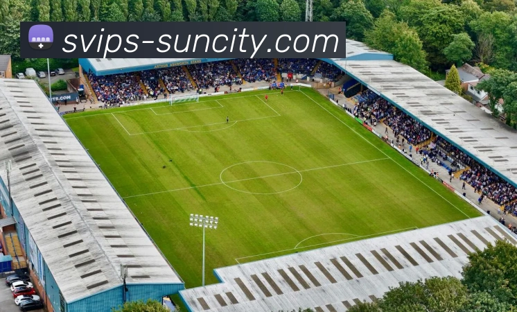 太阳城官网平台生态图